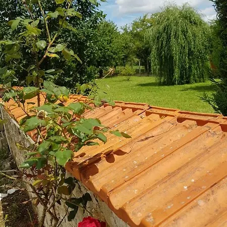 Studio Royal L'abbé * Château-Thierry